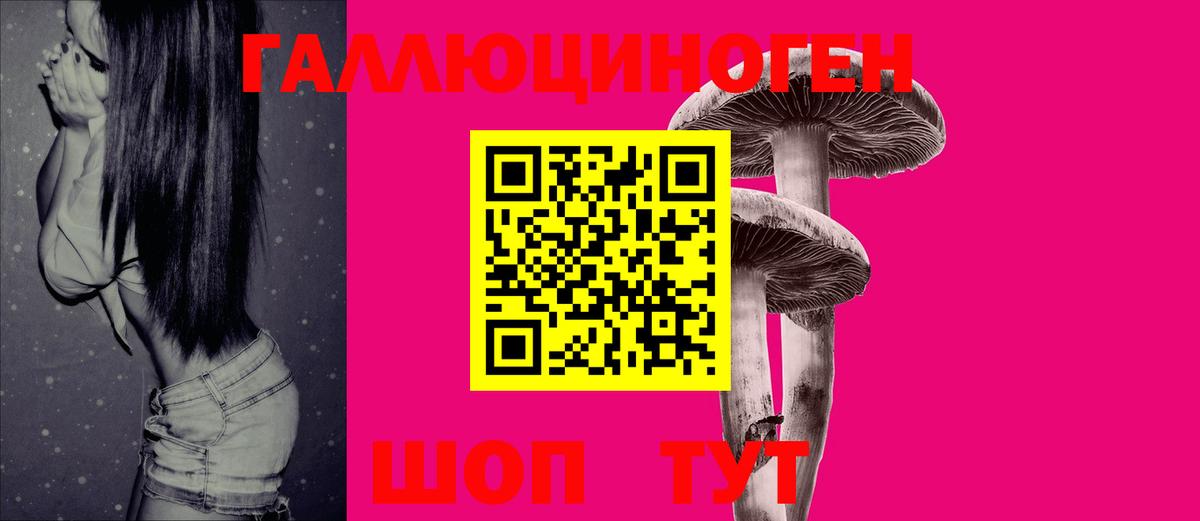Галлюциногенные грибы мухоморы Светлоград